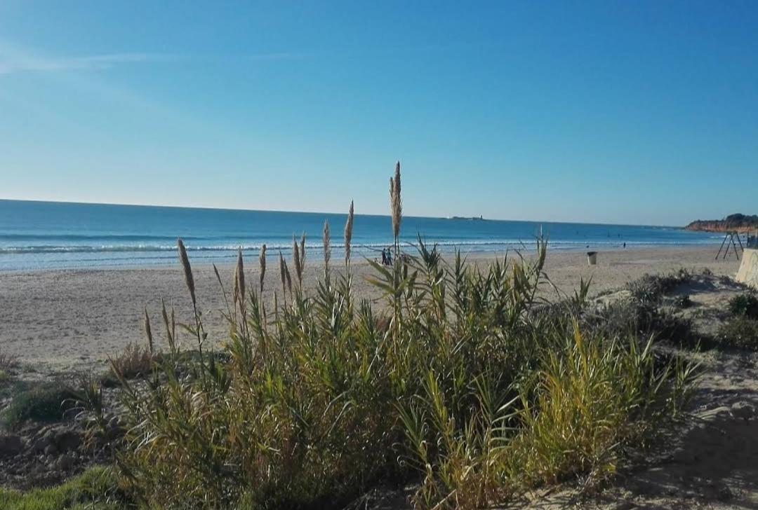 Апартаменты Apartamento Novo ,Chiclana Чиклана-де-ла-Фронтера Экстерьер фото